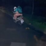 couple caught on camera having sex riding a motorbike