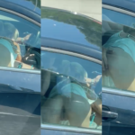 Couple Caught On Camera Having Sex While Driving On A Highway