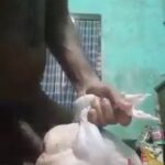 SexTape: Man Records Himself Having SEX With a Chicken