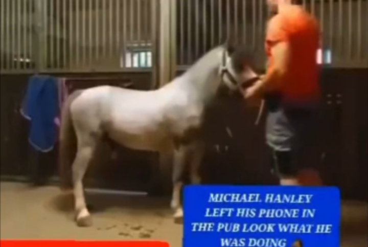 MICHAEL HANLEY HORSE SEX VIDEO: Horse Puts His Dick In A White Man's Ass In Viral Sex Clip