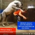 Watch Original Michael Hanley Horse Video