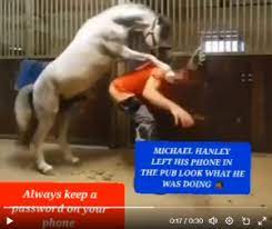 Watch Original Michael Hanley Horse Video