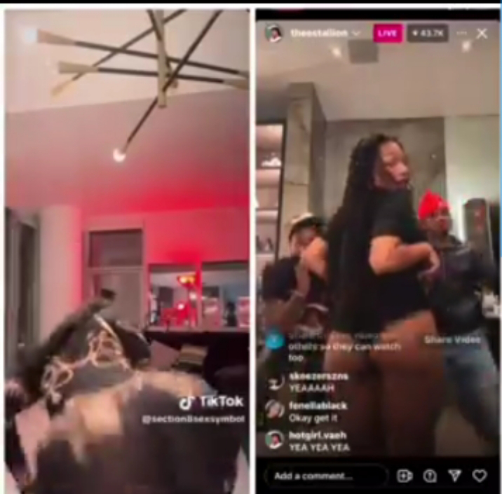 Jada Kingdom and Megan Thee Stallion Twerking Video on Instagram Live
