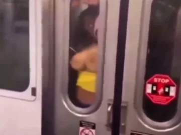 Woman Gets Fucked Doggy Style On A Train By A Stranger (18+)