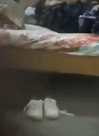 Punjab Couple Xxx Viral Video Download (FULL VIDEO 18+)