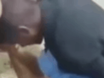 Balu Porn Video (FULL VIDEO 18+)