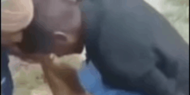 Balu Porn Video (FULL VIDEO 18+)