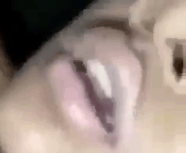 Bangladeshi Wife Porn Video (FULL VIDEO 18+)