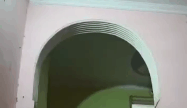 Indian Instagram Horny Girl Friend Porn Video (FULL VIDEO 18+)