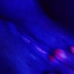 Ridah Shanik Xxx Video Leaked (FULL VIDEO 18+) Ridah Shanik Xxx Video Leaked (FULL VIDEO 18+)